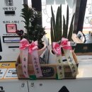 빵꾸똥꾸문구야김해