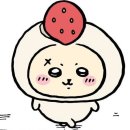 넌애 모르는사람이 쓰러지면 cpr할때 인공호흡 해줄수잇음??? 이미지