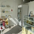 멍글(mongle) | 인천 연수구 [몽글베이크] 설탕이 생일기념 강아지제작케이크 주문후기