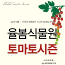 [올마이스] 율봄식물원 토마토 시즌 이미지