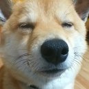 오션파크호텔 이미지