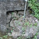 태흥1리 | [향토문화]겨드랑이 날개..태흥1리 장수무덤(멸실) 터