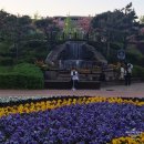 보강천 | 사진 찍기 좋은 증평 보강천 미루나무숲 산책 후기