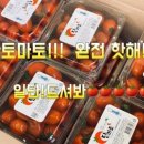 부흥청과 네이버블로그