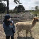 창화목장 이미지