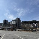 상주역 자전거 공영주차장 | 서울근교 데이트코스 남이섬 당일치기 여행 후기 🌿 드라이브 데이트 (주차정보, 포토존, 자전거 대여 정보)