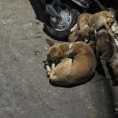 보나약국 이미지