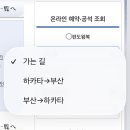 카멜리아 티스토리