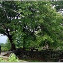 금계농로 이미지