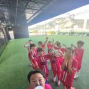 히어로즈축구클럽히어로즈스포츠