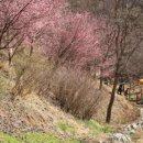 삼선산수목원 숲속도서관 네이버블로그
