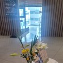 검단신도시 오일뱅크 | 검단신도시 더풋샵 아로마오일 마사지 전신후면 60분 내돈내산 후기