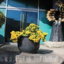 풍경프라자 이미지