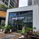 [금정역 꽃집] 금정AK플라자 꽃집 &#39;바나플라워&#39; 핑크코랄꽃다발 내돈내산 후기 💐