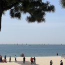 우일애견 | 동화 속에 들어온 것 같은 부산 해리단길 애견동반 브런치카페 무니