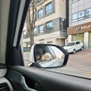 잘해줄개 이미지