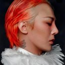 디자인지디 이미지