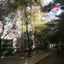 새용인동물약국 이미지