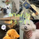 CU 안암보문교점 | 학교 갔는데 뭐가 나왔다니까. 존나 험한 게 ^,^