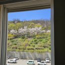 극동아파트 | 성동구 방충망 옥수동 극동아파트 미세망 교체 후기