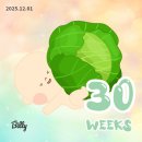 행복한 세탁이야기 | 30주차 임산부 일상 (아기 옷장 고민🗄, 만삭 사진, 아기 손수건 세탁 시작)