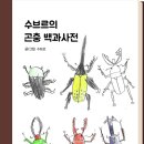 수브르