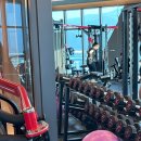 빌리브 패러그라프 피트니스 이미지