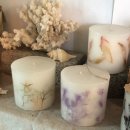 댕댕이살롱 이미지