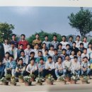 송지중학교 이미지