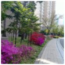 09-1 부동산경매 컨설팅 전문가과정 | ●부천 아이파크 2단지 57평 경매●부천시 약대동, 훌륭한 학군및 실거주 인프라 【2024타경53749(1)】