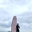 이호서프 | 제주도 서핑 :: 이호테우 서핑 이호서프 서핑강습후기 💜 반려동물 동반 가능