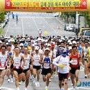 하프의원 이미지