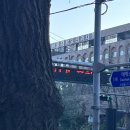 성수의과 이미지