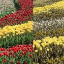 아이리더 안경 이미지