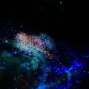 제스트고
