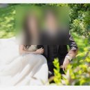 정원패키지 | [광주] 줄리의정원 수정본 - 1차, 2차, 3차 수정 후기, 패키지 내돈내산