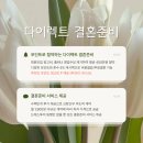 비즈맛집 &#39;보니타베일리&#39; 본식 드레스투어 당일혜택 견적 가격 후기