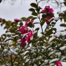 (주)선샤인호텔 이미지