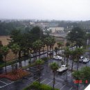 금호 아케이드 이미지