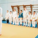 인지 태권도 이미지