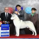 비오비PC 이미지