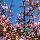 (주)피드백 이미지