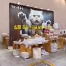 그루밍, 안나 | 2026 송도 마이캣페어 쇼핑 후기 숨숨집 동결건조 트릿 간식