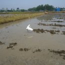 예산농장 이미지