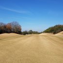 골드골프클럽 이미지