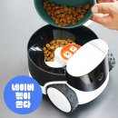 펫팔