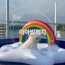 이아빌리지 | [거제도 애견동반 펜션] 이아빌리지 독채펜션 자쿠지룸 내돈내산 후기
