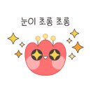 사계절 피부샵 이미지
