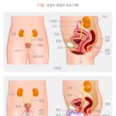 포시즌스요양병원 이미지