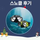 (주)비젼 | 씨홀스 다이브 세부 스노클 K비젼안경 태전점 구매 고객님 찐 리뷰